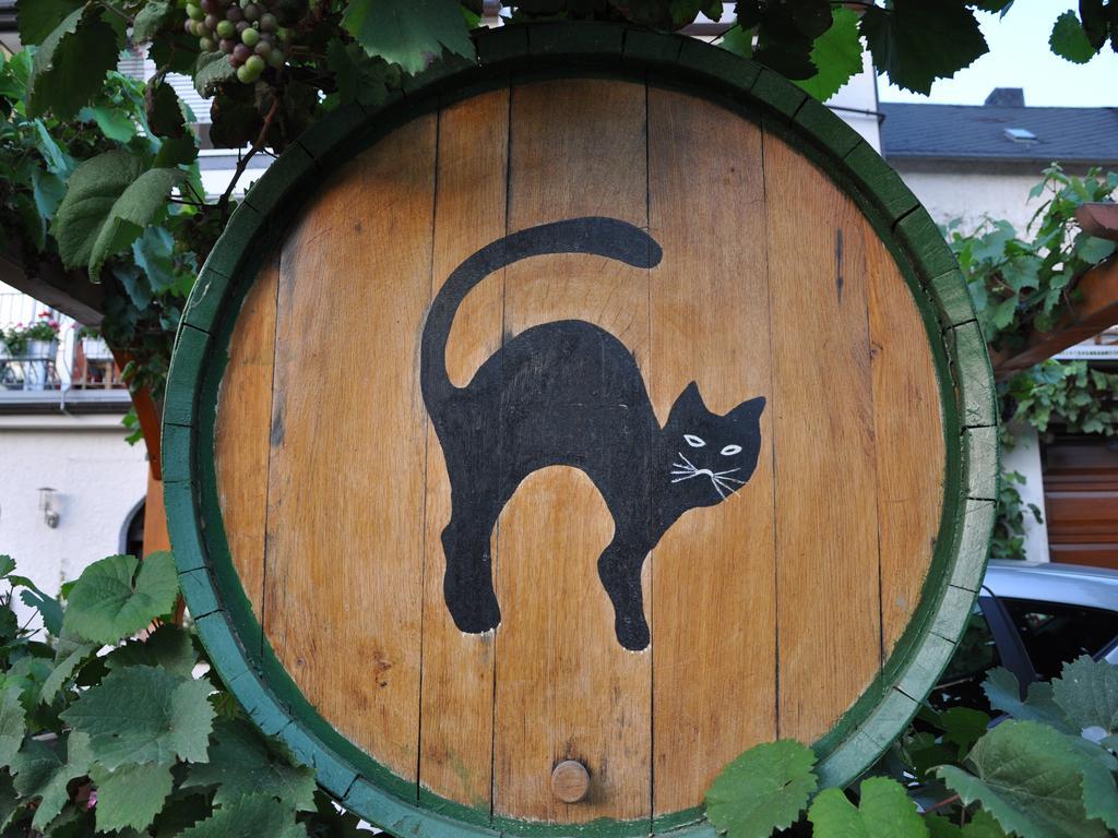 Ferienwohnung Am Moselufer Zell an der Mosel Zewnętrze zdjęcie