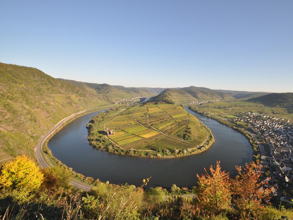 Ferienwohnung Am Moselufer Zell an der Mosel Zewnętrze zdjęcie