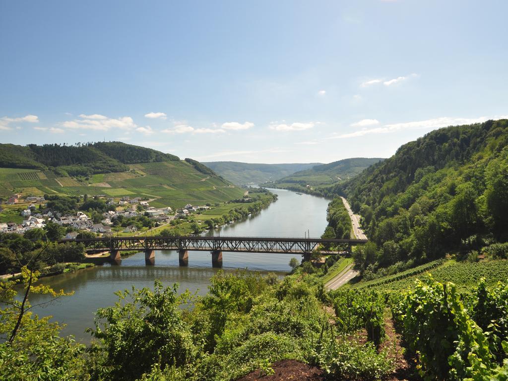 Ferienwohnung Am Moselufer Zell an der Mosel Zewnętrze zdjęcie
